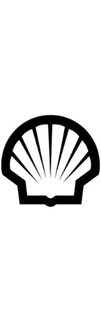 shell_3